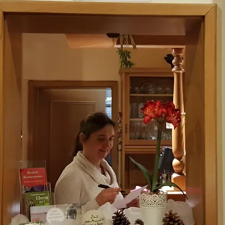 Frankenstuben Otel 3*
